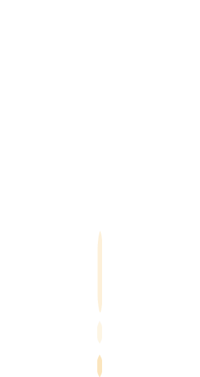 1553821375990575.gif 3.gif